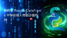 如何在 Pandas DataFrame 中单步插入带部分值的列