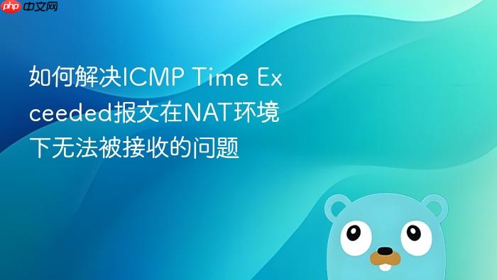 如何解决ICMP Time Exceeded报文在NAT环境下无法被接收的问题
