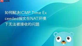 如何解决ICMP Time Exceeded报文在NAT环境下无法被接收的问题
