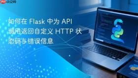 如何在 Flask 中为 API 调用返回自定义 HTTP 状态码与错误信息