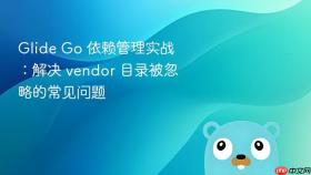 Glide Go 依赖管理实战：解决 vendor 目录被忽略的常见问题
