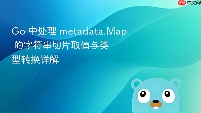 Go 中处理 metadata.Map 的字符串切片取值与类型转换详解