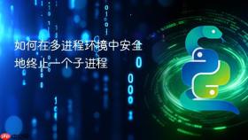 如何在多进程环境中安全地终止一个子进程