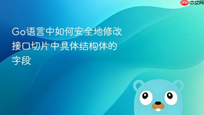 Go语言中如何安全地修改接口切片中具体结构体的字段