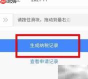 个税纳税证明制作指南