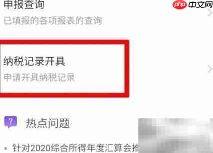 个税纳税证明制作指南