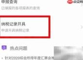 个税纳税证明制作指南