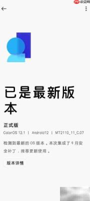 ColorOS系统更新指南