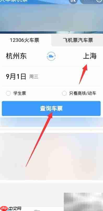 上海高铁票指哪个站