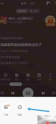 番茄畅听1.25倍速设置方法