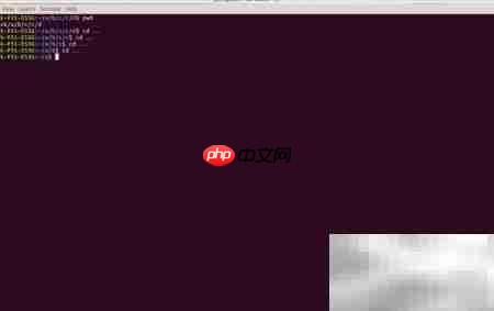 Ubuntu cd命令入门
