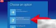 Win10解决CRITICAL_PROCESS_DIED