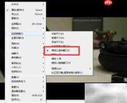 Heart播放器窗口缩放设置