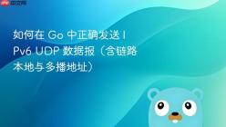 如何在 Go 中正确发送 IPv6 UDP 数据报（含链路本地与多播地址）