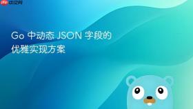 Go 中动态 JSON 字段的优雅实现方案
