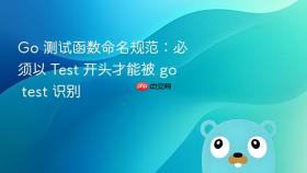 Go 测试函数命名规范：必须以 Test 开头才能被 go test 识别