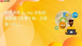 如何使用 yt-dlp 获取视频直链（无需下载，仅提取 URL）