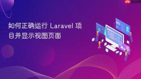 如何正确运行 Laravel 项目并显示视图页面