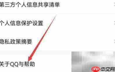 QQ结伴测试版无法使用原因