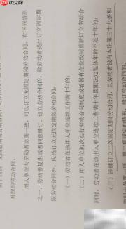 劳动合同类型与期限解析