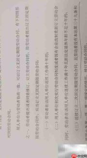 劳动合同类型与期限解析