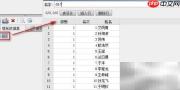商业智能报表组内分栏设置