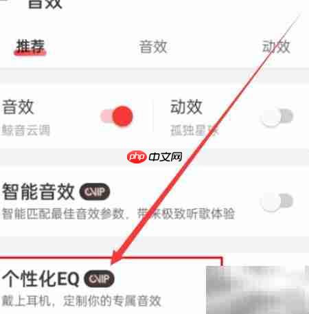 网易云音乐个性化EQ设置指南