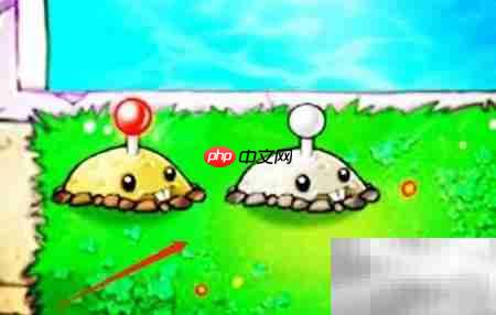 植物大战僵尸:击败伽刚特尔攻略