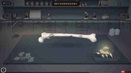 法医推理冒险游戏《拾骨谜案》2027年Q1发售 登陆Steam