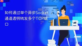 如何通过单个异步Socket通道透明转发多个TCP端口
