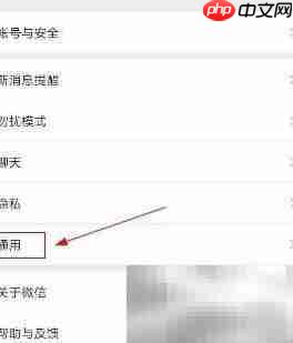 微信手机端设置西班牙语教程