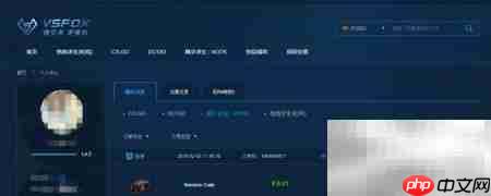 V5FOX饰品购买指南