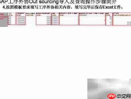 SAP工序外协导入查询指南