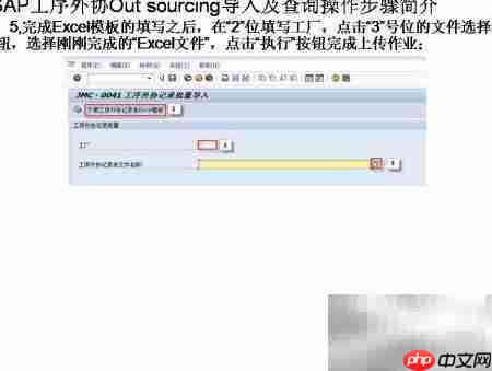 SAP工序外协导入查询指南