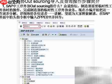 SAP工序外协导入查询指南