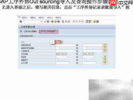 SAP工序外协导入查询指南