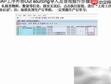 SAP工序外协导入查询指南