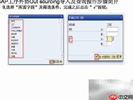 SAP工序外协导入查询指南