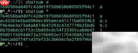 Linux中校验和使用方法