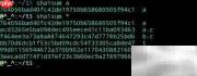 Linux中校验和使用方法