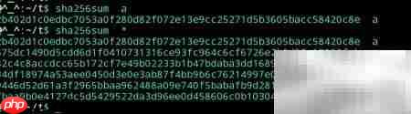 Linux中校验和使用方法