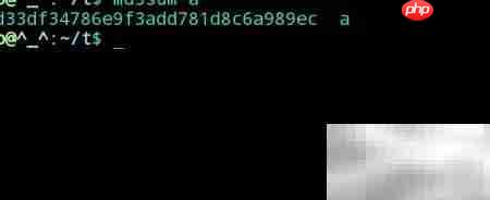 Linux中校验和使用方法