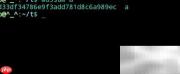 Linux中校验和使用方法