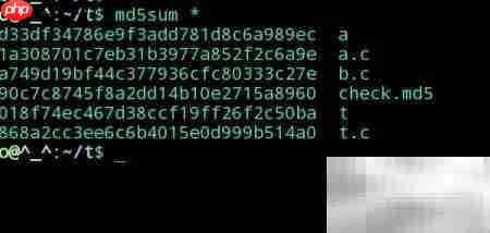 Linux中校验和使用方法