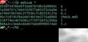 Linux中校验和使用方法