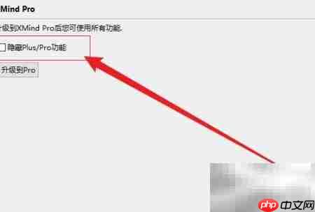 隐藏XMind Plus/Pro功能技巧