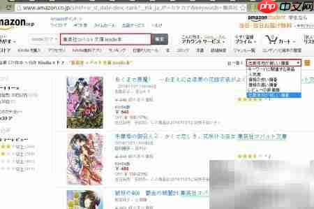 日本海淘轻小说抢购指南