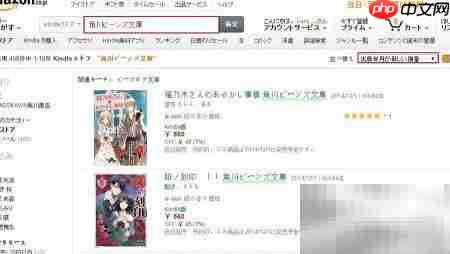 日本海淘轻小说抢购指南