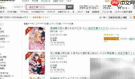 日本海淘轻小说抢购指南