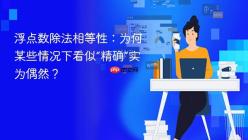 浮点数除法相等性：为何某些情况下看似“精确”实为偶然？